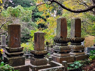墓じまい