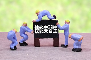 建設業の育成就労